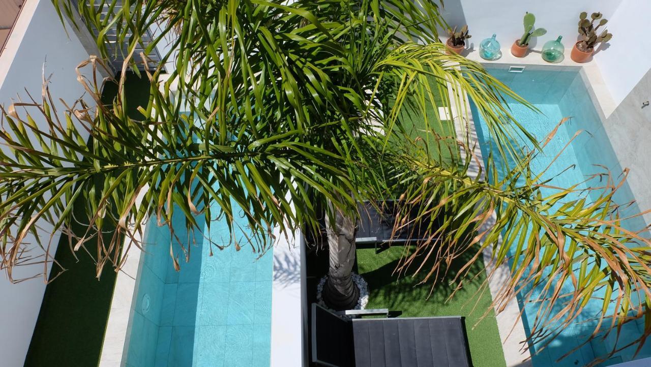 Ebli House Villa ซานมิเกล เด ซาลีนาส ภายนอก รูปภาพ